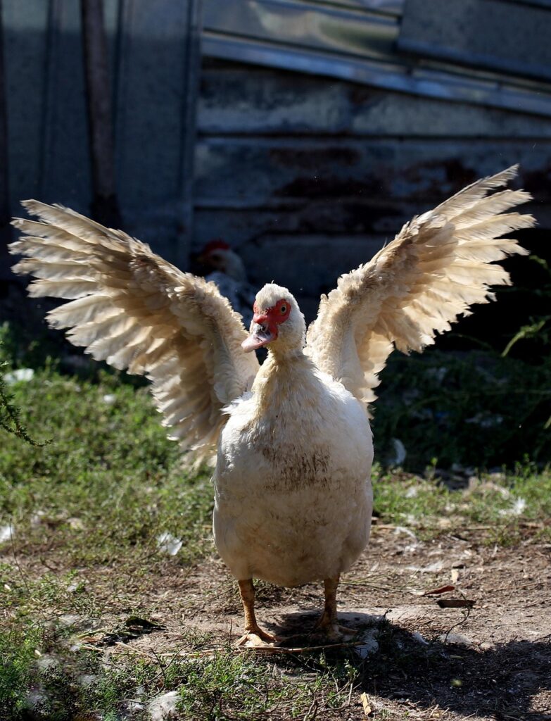 添い寝セーフティガードの購入時に注意すべきポイントは？
