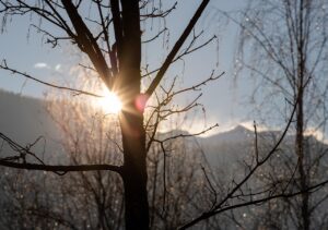 早朝5時に起きるための改善方法は？