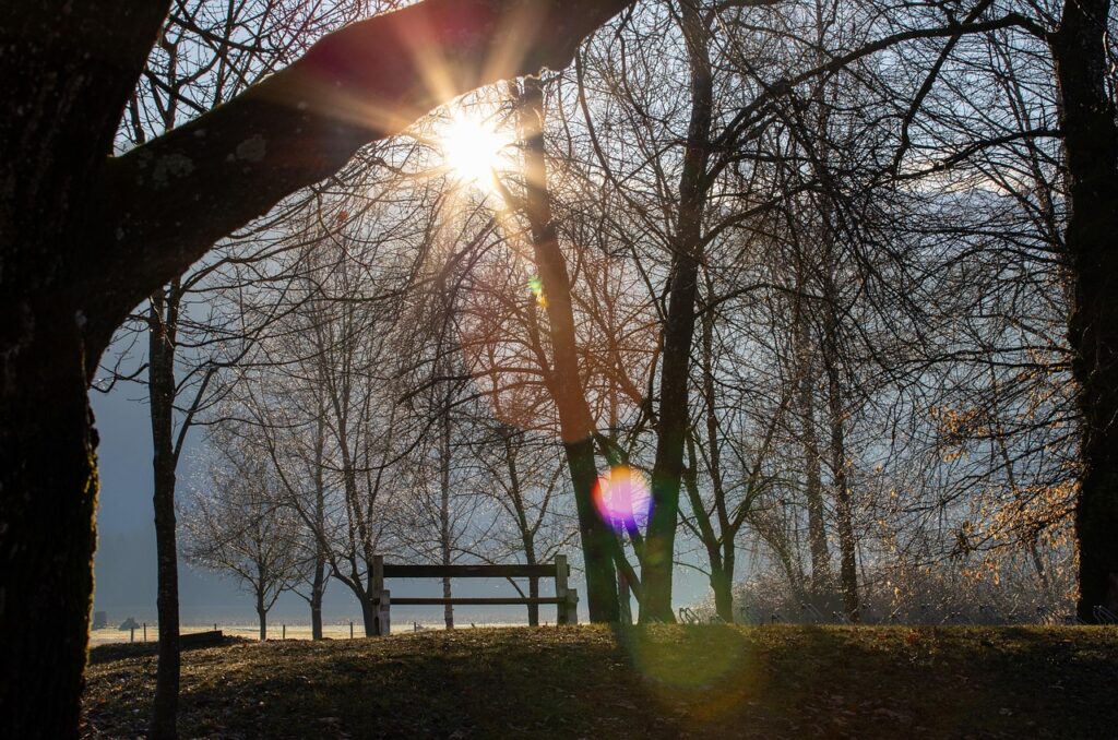 早朝に5時に起きるための生活習慣改善方法は？