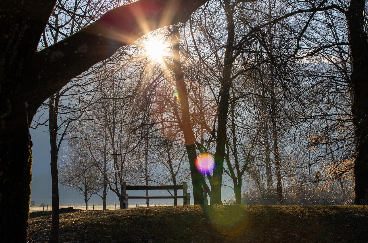 早朝に5時に起きるための生活習慣改善方法は？