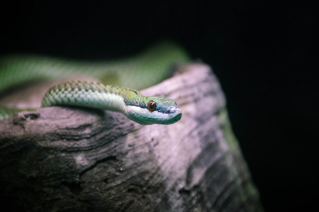 夜泣きの原因を知るための無料診断フォームはどこにある？