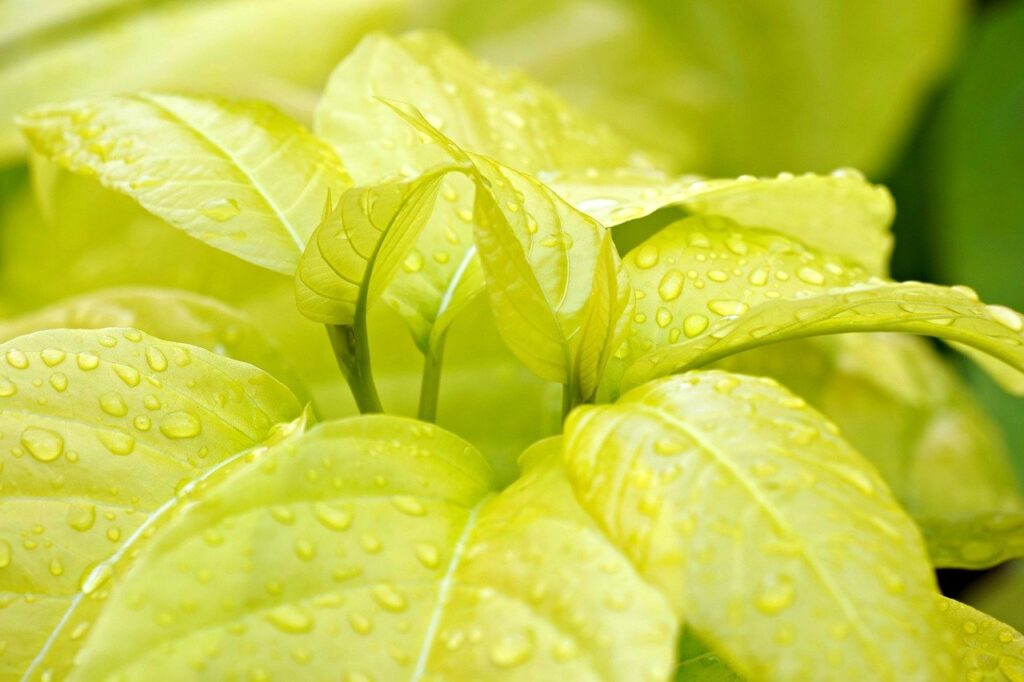 寝かしつけに最適な環境音の対策とは？