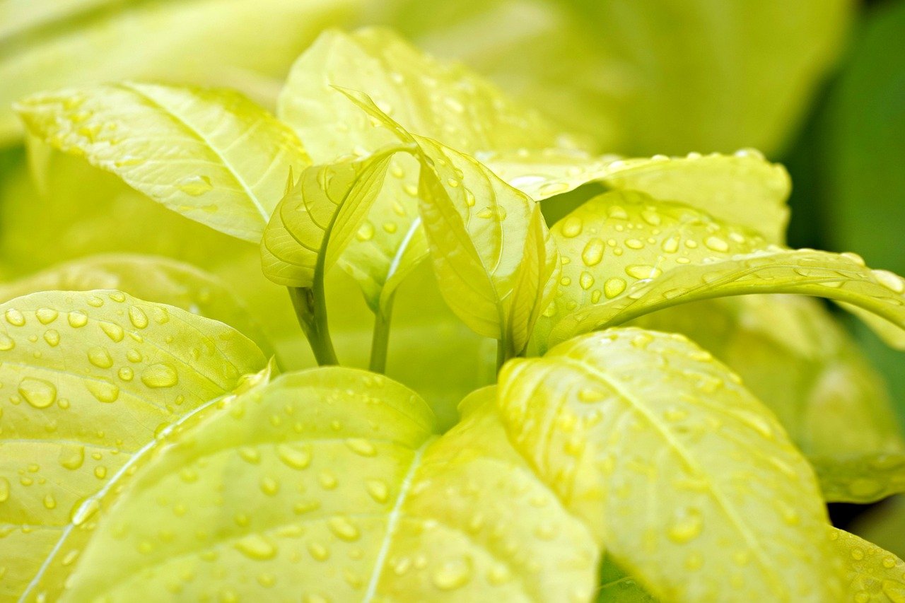 寝かしつけに最適な環境音の対策とは？