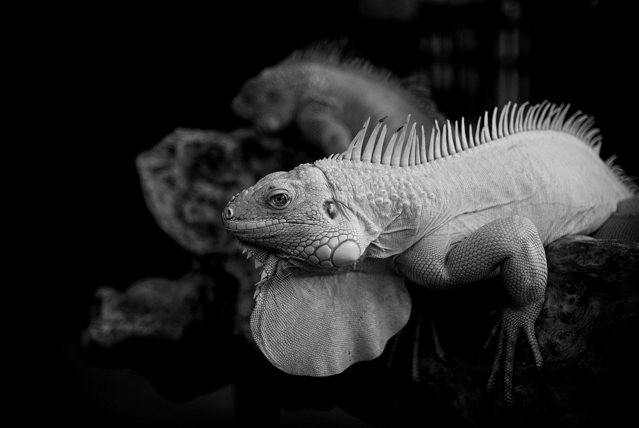 夜泣きに悩む親必見のコンサル効果とは？