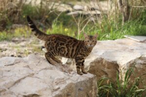 夜泣きに関する失敗例から学ぶ効果的な対策は？