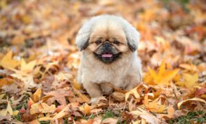 夜泣きによる寝不足で悩む親が知っておくべき対策は？