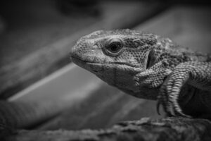 夜泣きの継続対策方法はこれで決まり？