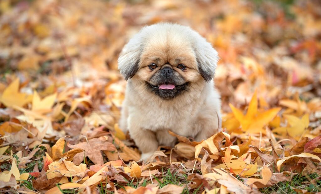 夜泣きを1週間で改善するプランは本当に効果的？