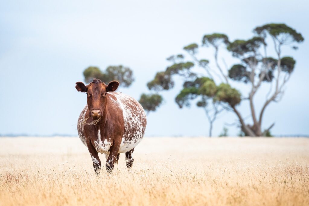旅行中の夜泣きに悩むあなたへ、効果的な対策は？