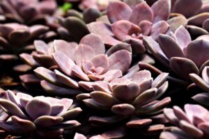夜泣きに最適なグッズは？口コミや評判を徹底調査！