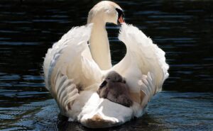 赤ちゃんを簡単に寝かしつける方法は？